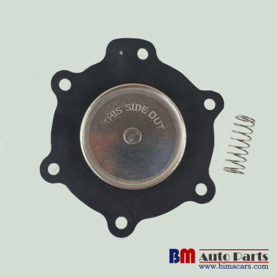 ASCO C113825 Diaphragm Repair Kit